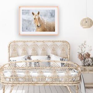 May include: A framed print featuring a Palomino horse with a light tan coat and a white mane. The horse is looking directly at the viewer. The print is in a light wood frame and hangs above a woven bed frame.