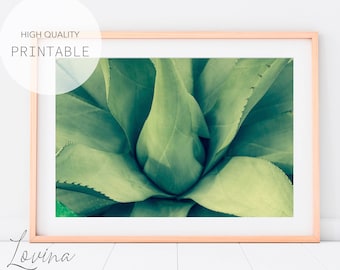 Stampa agave, arte murale tropicale, decorazione murale succulenta, poster di agave, fotografia di piante verdi, poster botanico, succulente stampa arte Download