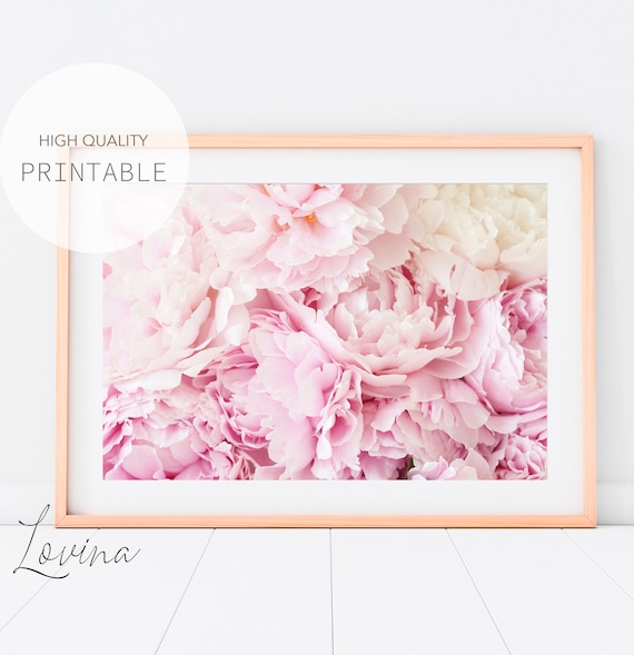 Blush Pink Peony Wall Art Pastel Peony Photo Poster Peony - Etsy