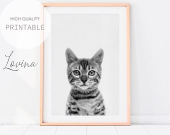 Cat Print, Black and White Nursery Animal Photo, DIGITAL DOWNLOAD, Baby Cat Photo, Cat Poster, Baby Kitten Print for Nursery, Cat Wall Art