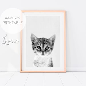 Kitten Wall Art, Kitten Nursery Print, DIGITAL DOWNLOAD, Cute Animal Poster, Black and White Cat Photo Art, Cute Kitten Print, Kitten Poster