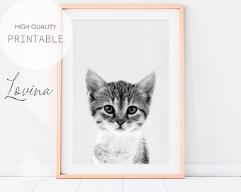 Kitten Wall Art, Kitten Nursery Print, DIGITAL DOWNLOAD, Cute Animal Poster, Black and White Cat Photo Art, Cute Kitten Print, Kitten Poster