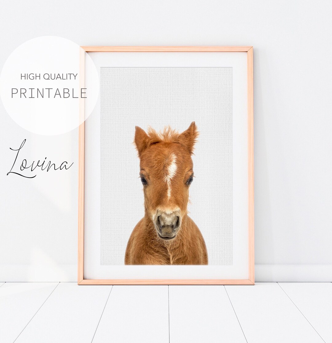 Foal Print, Printable Baby Horse Print Art, Farm Animal Nursery Decor ...