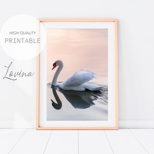 Printable Swan Print, Blush Pink Swan Poster, Swan on Lake Print, Swan Wall Art Print, Swan Wall Decor, Pastel Swan Print, Digital Download