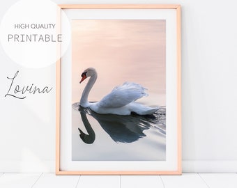 Impresión de cisne imprimible, Póster de cisne rosa rubor, Impresión de cisne en el lago, Impresión de arte de pared de cisne, Decoración de pared de cisne, Impresión de cisne pastel, Descarga digital