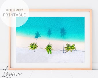 Aerial Beach Print, Palm Tree Poster, Hawaiian Wall Art, Modern Beach Print, Large Beach Poster, Beach Digital Download