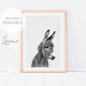 Donkey Wall Art, Farmhouse Decor, DIGITAL DOWNLOAD, Baby Donkey Print, Nursery Baby Animals, Baby Farm Animal Print, Nursery Animal Print