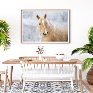 Puede incluir: Una fotograf&iacute;a enmarcada de un caballo marr&oacute;n claro y blanco con una crin y cola blancas. El caballo est&aacute; mirando directamente a la c&aacute;mara. El fondo es un paisaje nevado borroso.