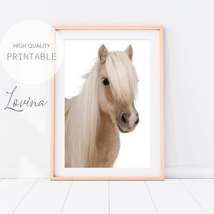Printable Nursery Horse Print, Horse Poster Wall Art, Nursery Prints, Horse Wall Decor, Animal Portrait, Horse Photography, Digital Download