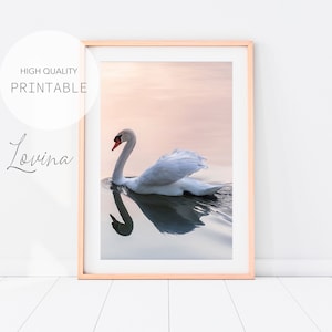 Printable Swan Print, Blush Pink Swan Poster, Swan on Lake Print, Swan Wall Art Print, Swan Wall Decor, Pastel Swan Print, Digital Download