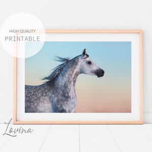 Horse Photography | Printable Animal Poster | Animals Photo | Equine Wall Art | Gray Horse Print | Equestrian Art | INSTANT Digital Download