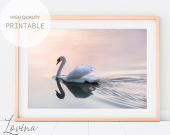 Pastel Swan Print, Printable Poster, Swan Photography Wall Art, Birds Digital Download, Girl Bedroom Swan Decor, Girls Room Animal Prints