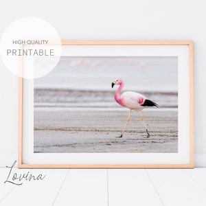 Printable Flamingo Art Print, Pink Flamingo Print, Pink Flamingos Art, Flamingo Printables, Coastal Landscape, Flamingo Art Digital Download