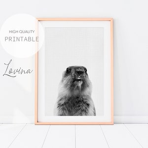 Murmeltier Poster, Kinderzimmer TierDruck, DIGITALER DOWNLOAD, Schwarz Weiß Baby Tier Poster, JungenZimmer Poster, Murmeltier Wandkunst, TierBabys Print