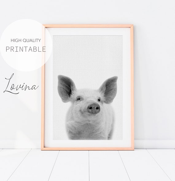 Pig Wall Art, Farm Nursery Decor, DIGITAL DOWNLOAD, Pig Print