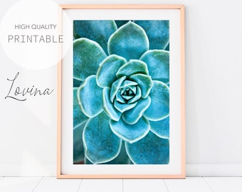 Agave Print, Blue Cactus Print, Agave Plant, Digital Succulent Cactus Art, Agave Wall Print, Succulents Wall Art, Succulent Digital Download