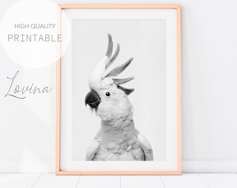 Cockatoo Print, Australian Bird Art, DIGITAL DOWNLOAD, Black and White Cockatoo Photo, Large Bird Poster, Bird Photography, Parrot Wall Art