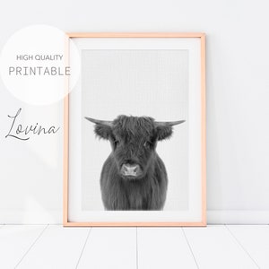 Highland Cow Print, Black White Highland Wall Art, DIGITAL DOWNLOAD, Highland Cow Nursery Boy Decor, Cow Nursery Decor, Boys Room Poster