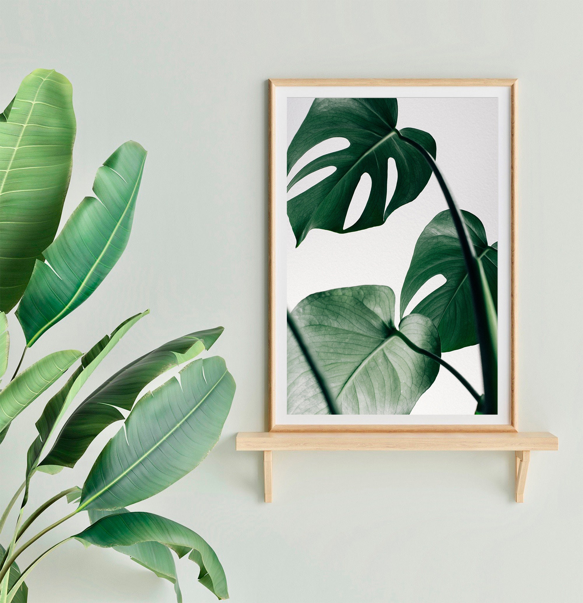 Monstera Leaf Framed poster