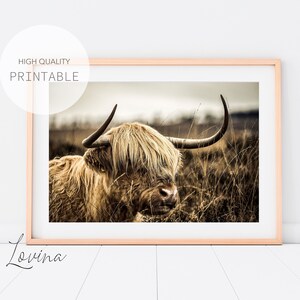Highland Cow Print, Wilderness Wall Art, Highland Cow Decor, Highland Poster, Highland Art, Highland Cows, Scottish Cow Print, Digital Art