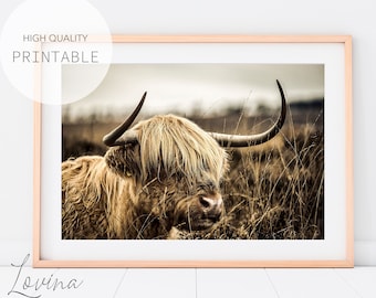 Highland Cow Print, Wilderness Wall Art, Highland Cow Decor, Highland Poster, Highland Art, Highland Cows, Scottish Cow Print, Digital Art