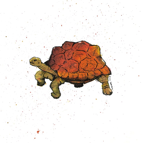 Sulcata Tortoise- Turtle Print