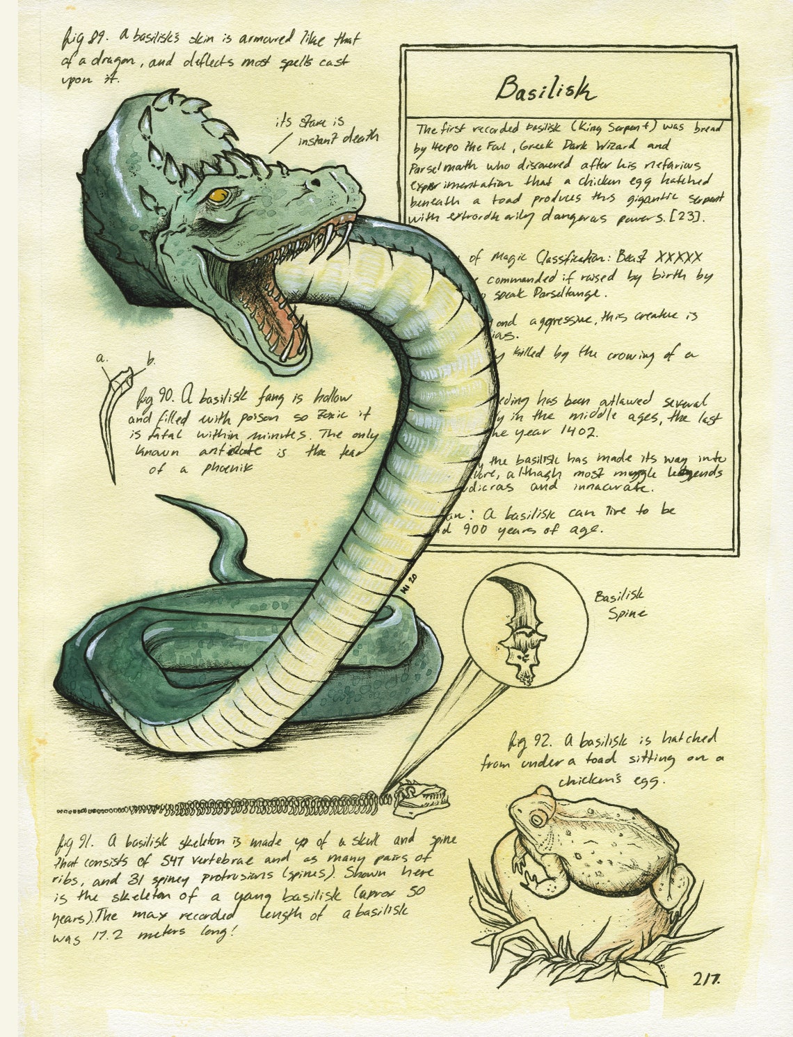 Basilisk Fantastic Beasts/Harry Potter Print Etsy