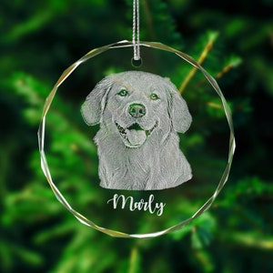 Personalized Pet Glass Ornament Engraved - Etched Your Dog Photo on Crystal Ornament