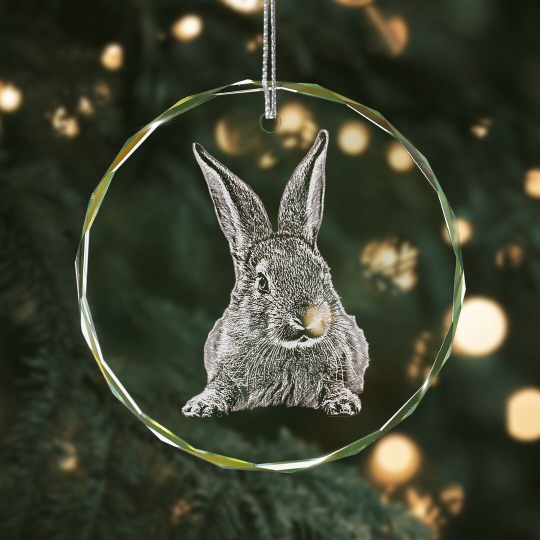 Personalized Bunny Mom Christmas Ornament, Custom Bunny Photo Christmas Gifts for Bunny Mother
