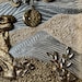 Money Tree - 