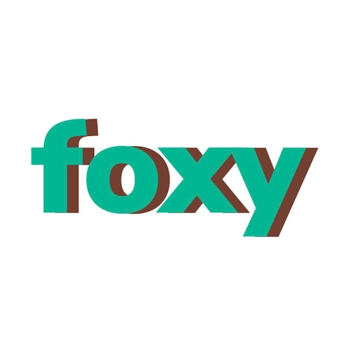 FoxyAccessoriesStore - Etsy