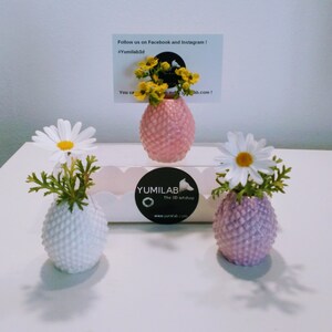 3 Minivazen Kaarthouders, ananasfotohouders, minivazen, aangepaste kleuren, exclusief design, Barcelona, cactus, Yumilab