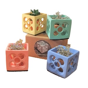 4 mini pots Panot cubiques ajourés de Barcelone, mini jardinière, rajola, photophore, design exclusif, Barcelone, Catalogne, yumilab