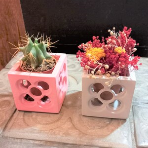 May include: Two small, square, decorative planters with geometric cutouts. One planter is pink and holds a small cactus. The other planter is light grey and holds dried flowers.