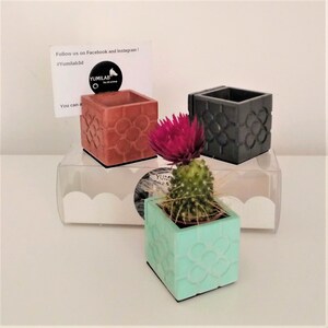 3 mini vases porte-carte fleur de Bilbao, résine écologique, porte-noms Bilbao, porte-photos mini pots, fleur de pavé de Bilbao