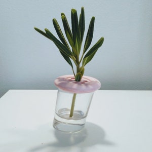 Peut inclure: Un vase en verre transparent avec un dessus en forme de bouton rose, contenant une brindille de feuillage vert.