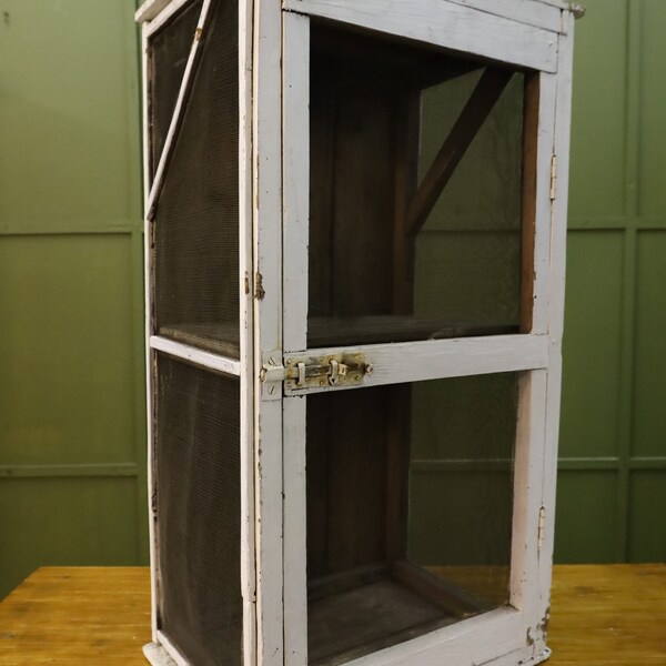 Pharmacist's cabinet / storage cabinet - early 20th century