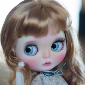 Special offer Blythe custom.  Doll Custom Blythe custom doll OOAK.