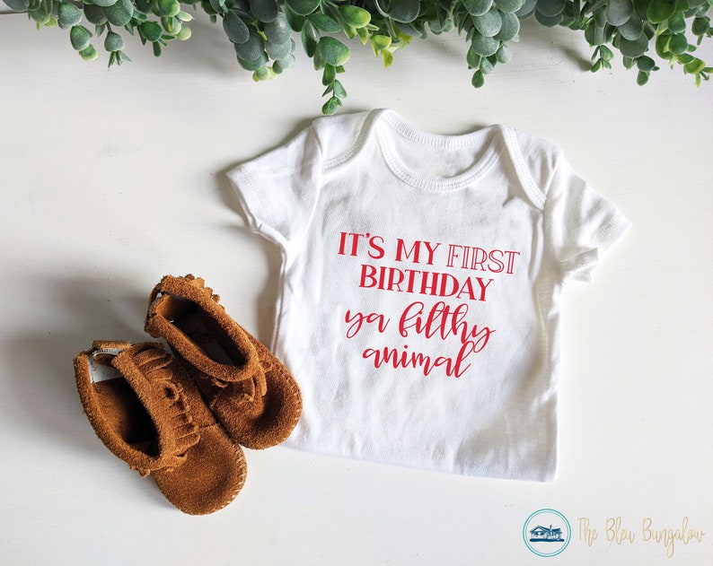 Download First Birthday Outfit Svg 1st Birthday Shirt For Baby Boy Or Girl It S My First Birthday Ya Filthy Animal Girls Clothing Baby Girls Clothing Rmsintschool Com