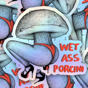 Wet Ass Porcini, Hand Drawn Sticker, Vinyl Sticker, Mushroom Art, Foraging, Mushroom Hunting