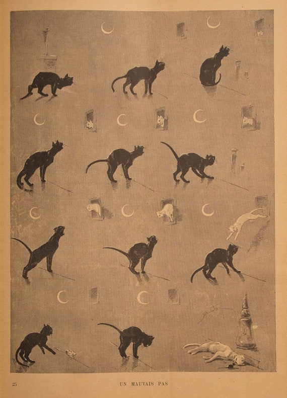 Antique Cat Print Art Nouveau Cat Print 1920s Cat Picture Vintage Cat Print Théophile Alexandre Steinlen Le Chat Noir Artist