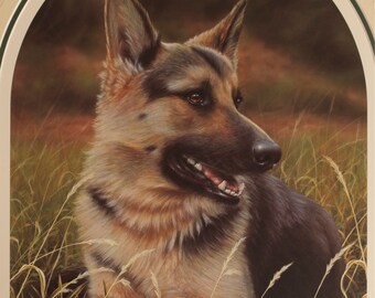 German Shepherd print, Limited edition signed by artist John Silver. Perfect dog-lover gift.