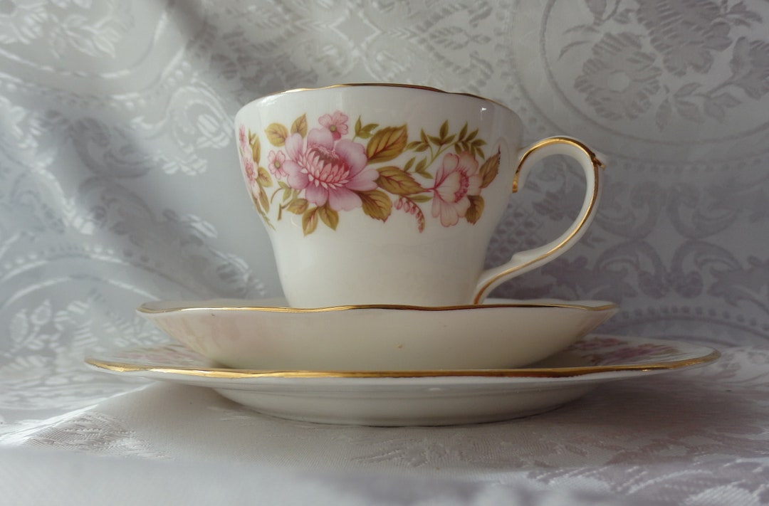 Vintage a Beautiful duchess Bone China Trio summer Glory Etsy