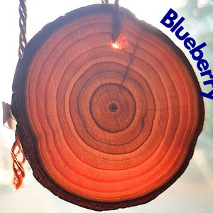 Blueberry Car Air Freshener. Wooden Slice with Long-Lasting Fragrance. Car Diffuser. Car Perfume. Handmade in UK.