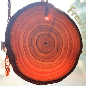 Könnte beinhalten: Eine runde Holzscheibe mit konzentrischen Ringen aus hellem und dunklem Holz. Die Scheibe hängt an einem Seil und trägt den Text "Fresh Linen".