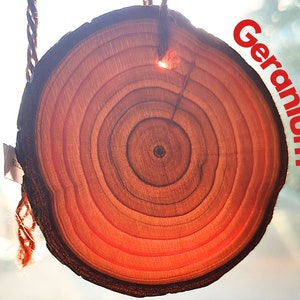 Geranium Car Air Freshener. Wooden Slice with Long-Lasting Fragrance. Car Diffuser. Car Perfume. Handmade in UK.
