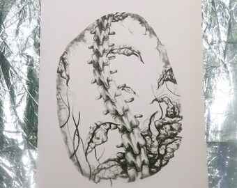 Spine Blight Lithograph Print