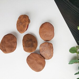 Acorn Runes Elder Futhark Polymer Clay Set of 6 or 25 / Norse Alphabet ...