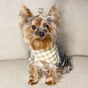 Hondenhalsband Vlinderdas • Hondenbandanasjaal van 100% natuurlijk linnen