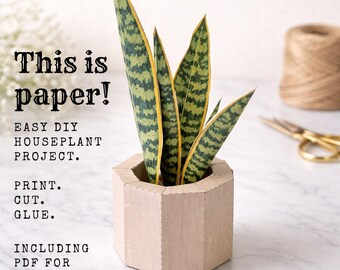 Papercraft house plant PDF with planter - DIY Paper Plants to print, cut and glue - Craft template with planter